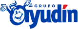 Grupo Ayudín